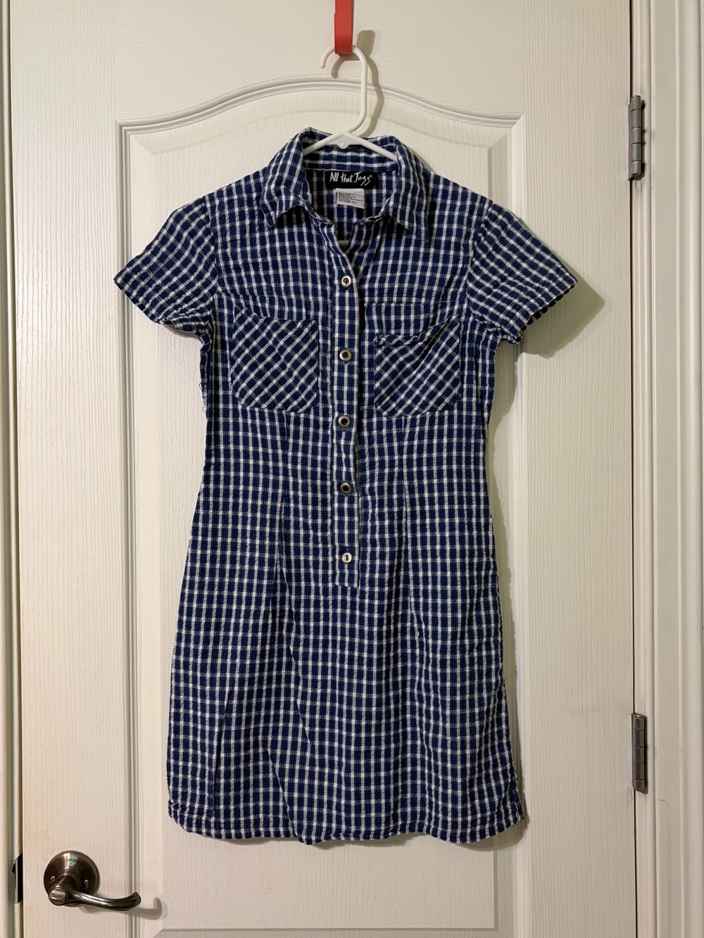 All That Jazz Vintage Blue and White Plaid Short-Sleeve Button Dress